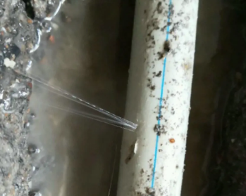 长汀卫生间测漏水多少钱
