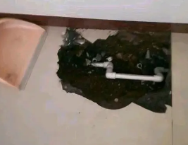 长汀卫生间测漏水多少钱